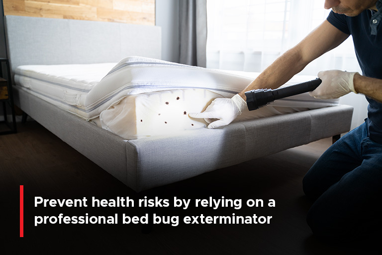 Prevent health risks by relying on a professional bed bug exterminator