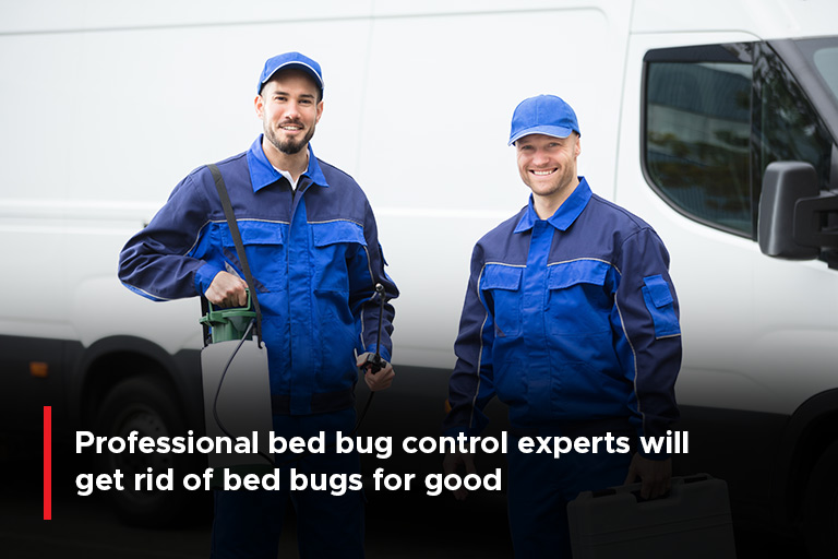 Professional bed bug control experts will get rid of bed bugs for good