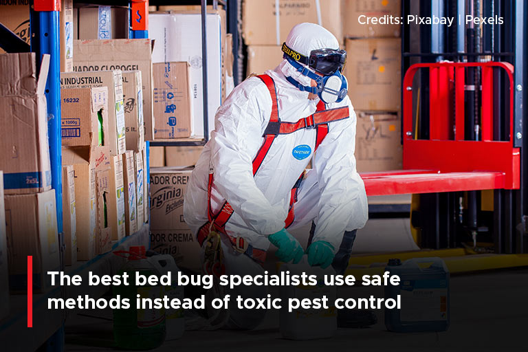 The best bed bug specialists use safe methods instead of toxic pest control products