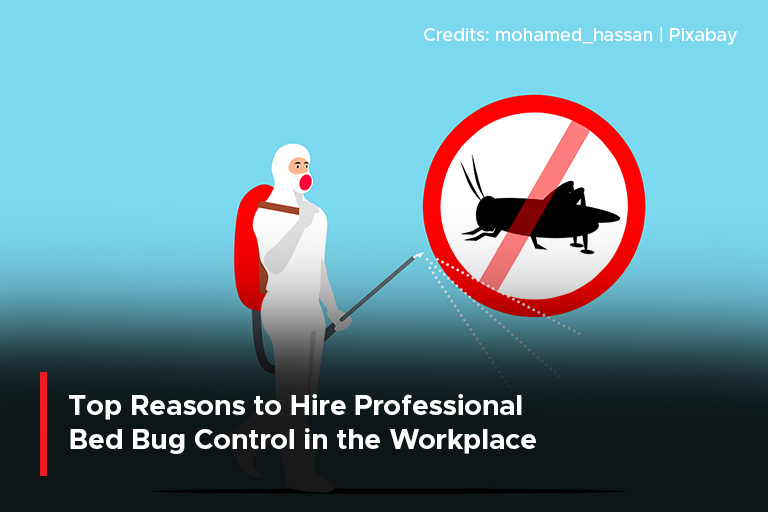 Top Reasons to Hire Professional Bed Bug Control in the Workplace