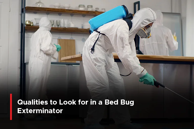 Qualities to Look for in a Bed Bug Exterminator